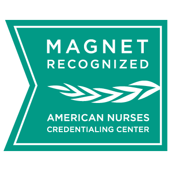 Magnet Recognition Logo 350