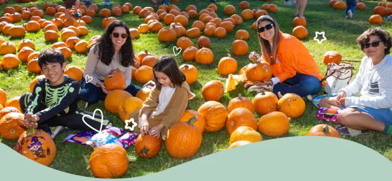Valley Childrens Healthcare Impact Report 2024 Fall Carnival Banner